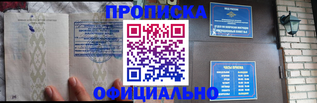 прописка поиск в Звенигово